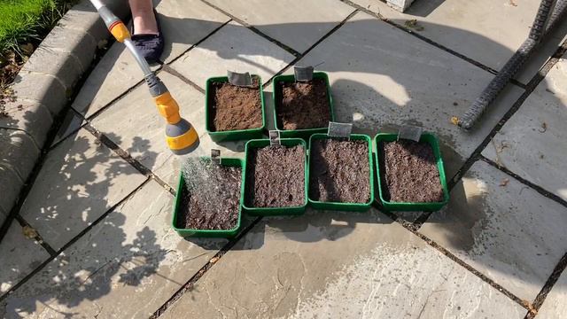 Make A Mini Greenhouse || Autumn Seed Sowing || 100th Video!! смотреть онлайн