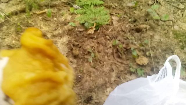 Строчок смотреть онлайн