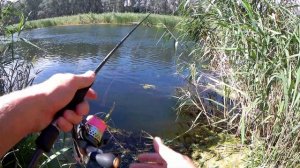 Рыбалка на спиннинг. Мой топ 5 приманок для ловли окуня летом