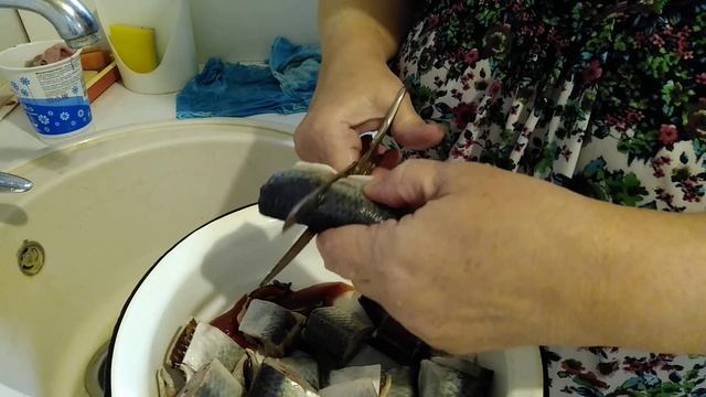 НЕ Мукбанг.Солим селедку. смотреть онлайн