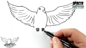 Как нарисовать ГОЛУБЬ МИРА поэтапно