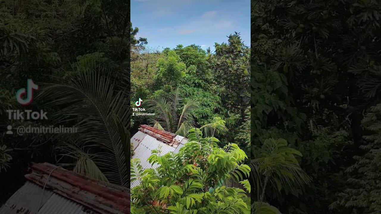 Morning tropical view Boracay island #boracay2023 #tropicallife #philippines #vacation #boracay смотреть онлайн