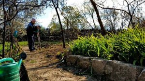 Весенние хлопоты на винограднике. Пополняем цветник. Дача. Дачныехлопоты . Цветы. Виноградник.mp4