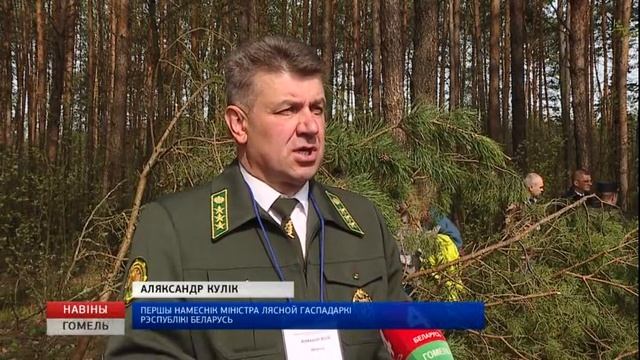 Охрана лесов от вредителей смотреть онлайн