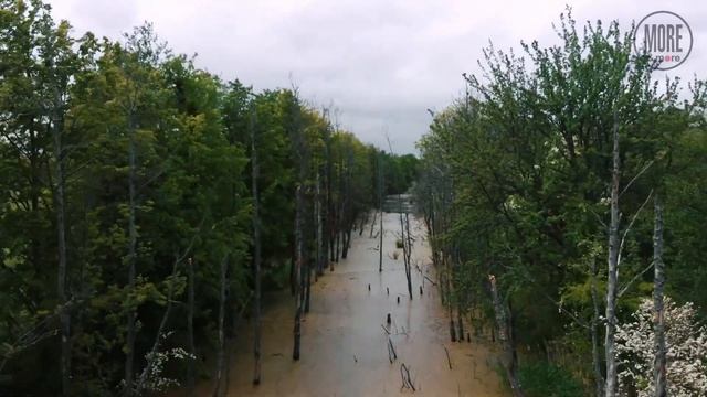 Мазурский канал #калининградуходящаянатура смотреть онлайн