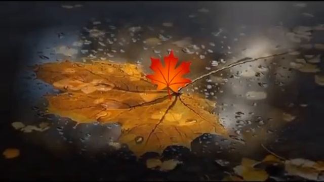 VID-20221207-WA0011.mp4 смотреть онлайн