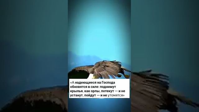 Не запрещай душе летать. Позволь себе больше мечтать. смотреть онлайн