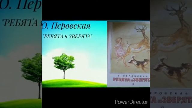 Книжная выставка "Через книгу - любовь к природе " смотреть онлайн