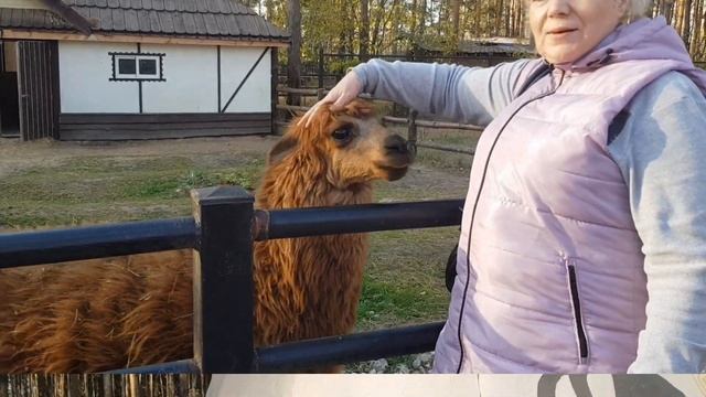 Гуляем в Тридевятом Царстве. смотреть онлайн