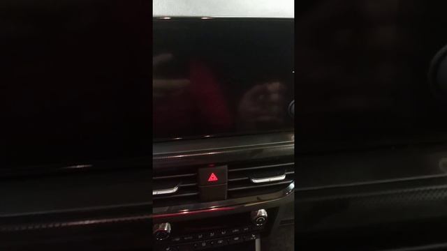 Снимаем Болеро 8 на Шкода Рапид 2020 смотреть онлайн