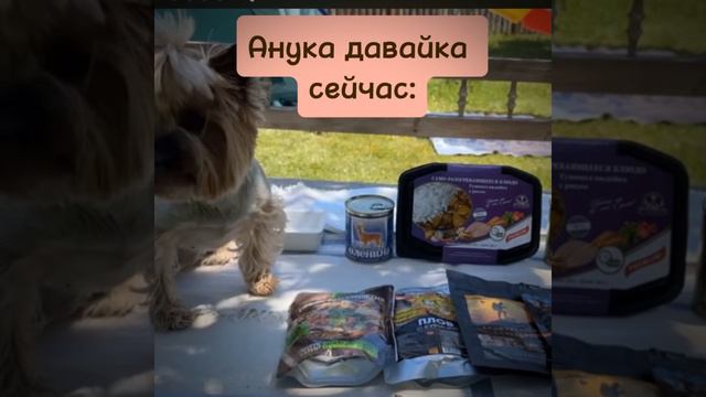 Спасибо за доброе детство❤️ смотреть онлайн