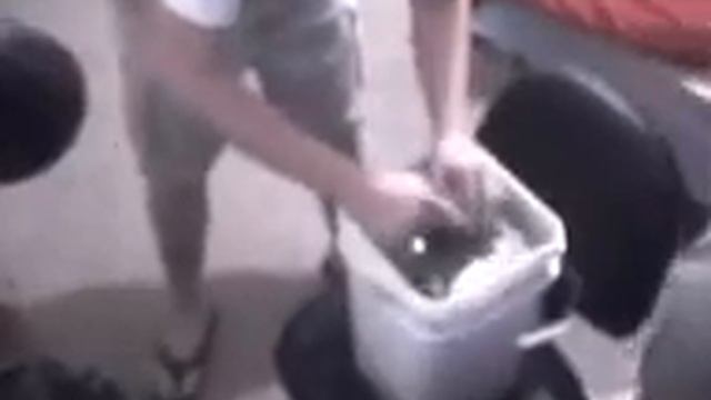 gravity bong смотреть онлайн