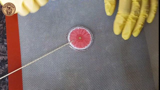 Фотография Моделей и Фэшн-съемок