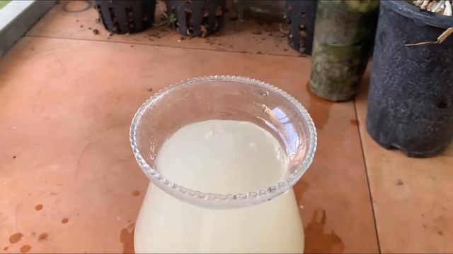 100 times stronger than Vitamin B1! Only use once and orchids bloom forever смотреть онлайн