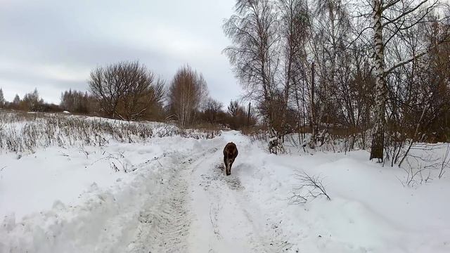 Как поступить с Патриком? смотреть онлайн
