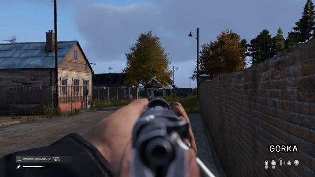 DAYZ MOMENTS (1PP/3PP) смотреть онлайн