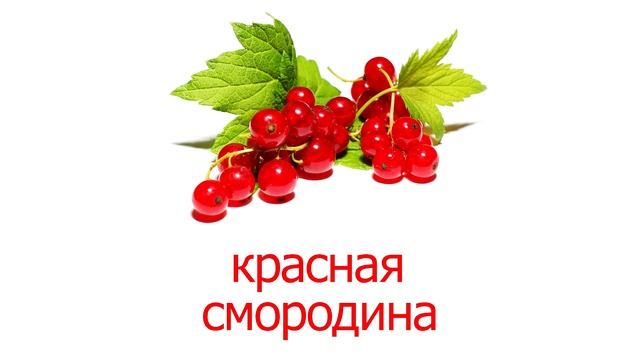 Карточки Домана часть 1 - Ягоды, картинки ягоды для детей с названием смотреть онлайн