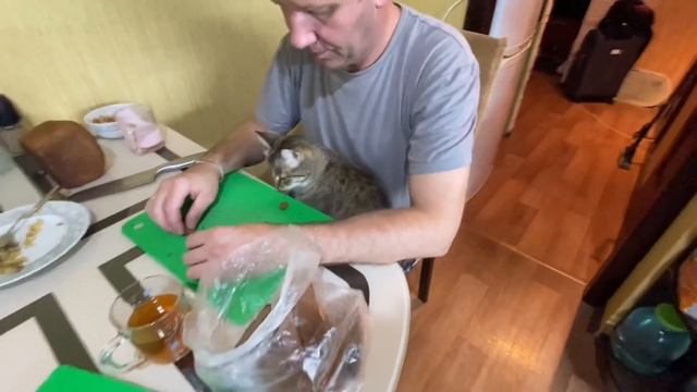 181❤️ Собирать больше нечего, ждём от Миши слово ,,старт,,. Суп из банки. Что же с Рыжим котиком. смотреть онлайн