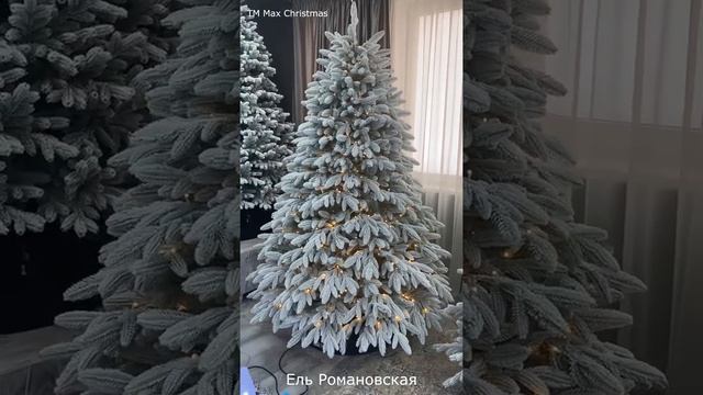 Ель с лампочками заснеженная Романовская смотреть онлайн
