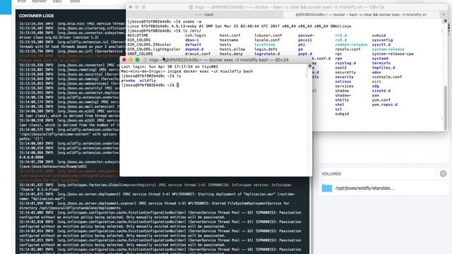 Entrar a un contenedor Docker desde línea de comandos ? смотреть онлайн