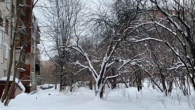Микрорайон Сходня. Студии по ул. Вишневая. Дорога от станции к дому. смотреть онлайн