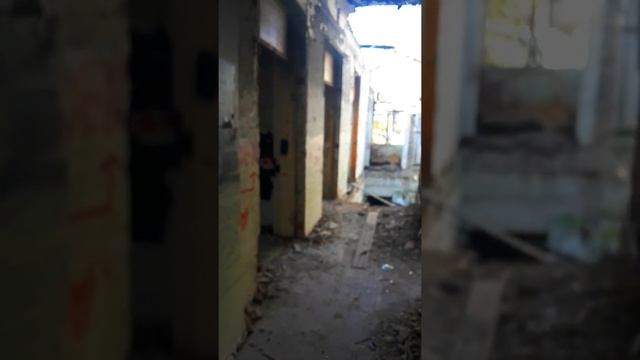 Прогулка в Ессентуках "Дача Елочка " смотреть онлайн