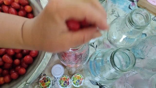 Zogal Kompotu Nece Hazirlanir? Zoğal Kompotu Hazırlanması Qaydası.Zoğal Kompotu.Zogal Kompotu.