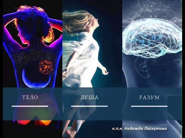 Тело, Душа и Разум смотреть онлайн