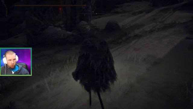 Elden Ring - Вершина Великанов и Священное заснеженное поле все Боссы и подземелья НГ+ #43 смотреть онлайн