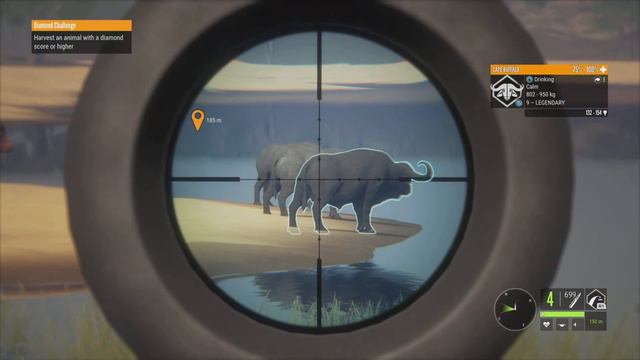 An EPIC Return To Vurhonga Savanna! Part 1 | theHunter - Call of the Wild смотреть онлайн