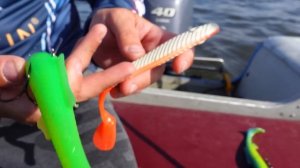 Рыбалка с лодки | Рыбалка в Воронеже | Оснастка силиконовых приманок | Стингер для приманок