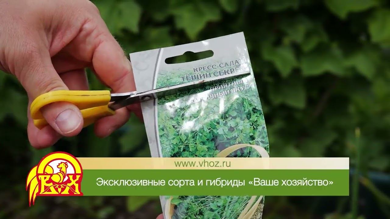 Обустройство собственного пруда | Сад и огород смотреть онлайн