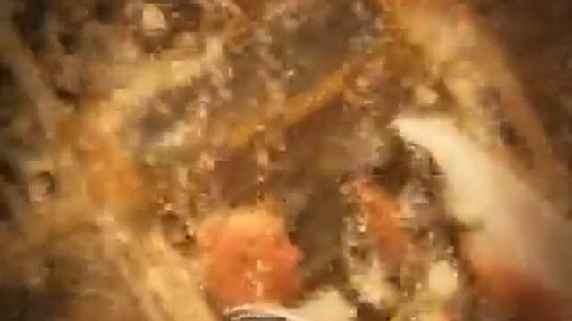 Свадебный клип! Студия Талисман! Воронеж! смотреть онлайн