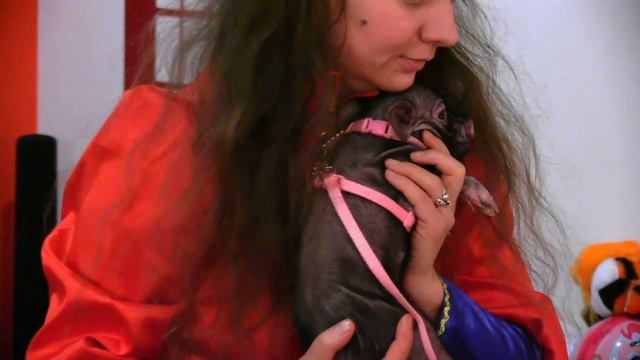 Театр Три Поросёнка, Ксения Ремизова смотреть онлайн