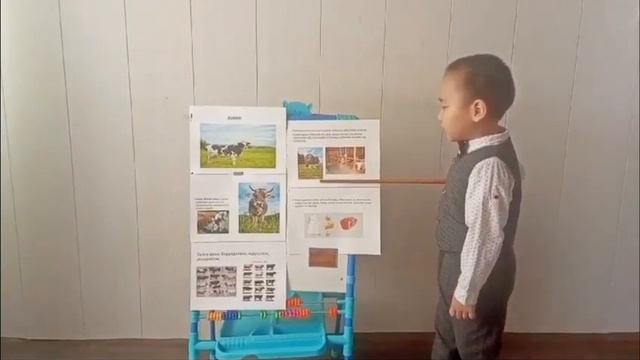 МБДОУ Детский сад "Кэскил" Хампа Проект "Я исследователь". Тема "Ынах" Николаев Даниар 5лет смотреть онлайн