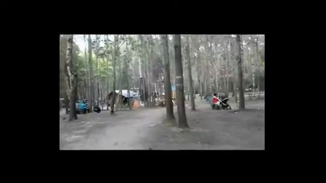Vlog #5 Прогулка в лесу смотреть онлайн