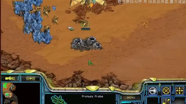 Bisu Vs Sea PvT Starcraft Brood War FPVOD