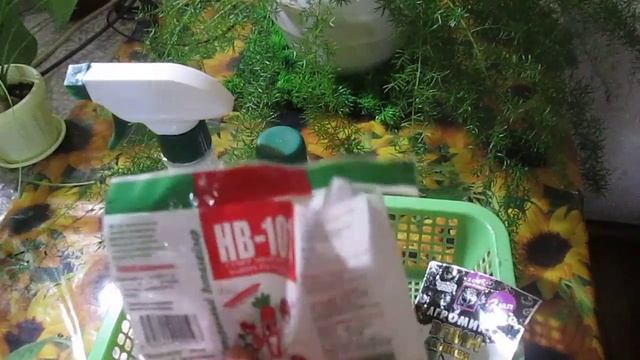 Эффективные средства- " палочки-выручалочки "для растений! Новости об аспарагусе. смотреть онлайн