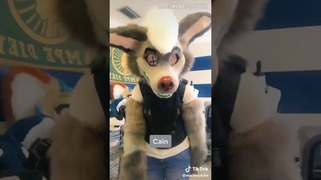 Furry With Tik-Tok | Фурри с Тик-Ток