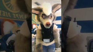 Furry with Tik-Tok | Фурри с Тик-Ток