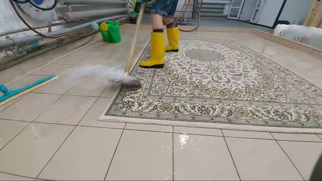 Satisfying Rug Washing LIVE/ Стирка ковров АСМР 29.09.2021
