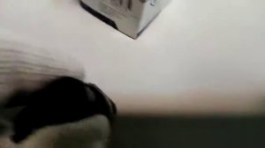 Датчик давления топлива Ман Тгх Тгс Тга 0281006053 BOSCH