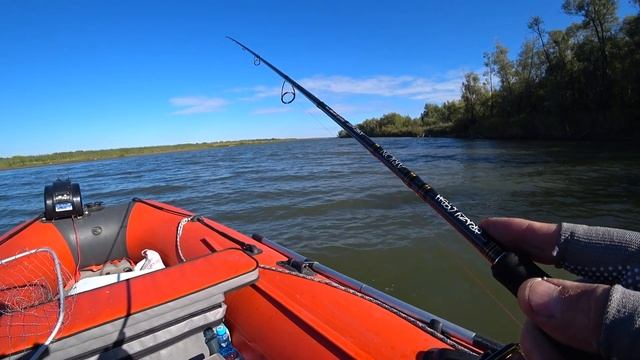 Крутиха 16 сентября 2022 .Клевый день .Щуки и судаки в ассортименте. смотреть онлайн