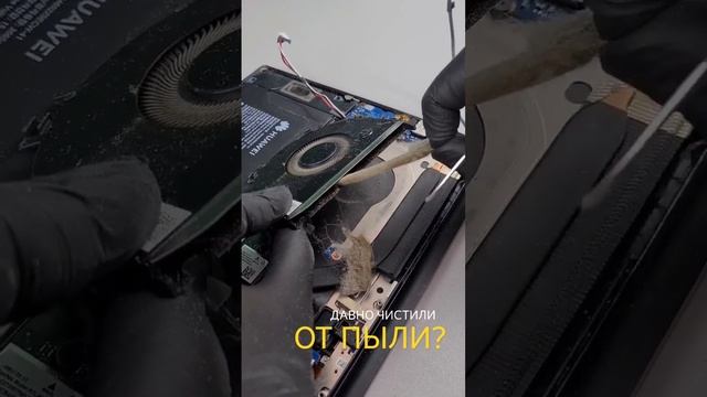 Чтобы продлить срок службы ноутбука - производите чистку СО минимум 2 раза в год!? смотреть онлайн