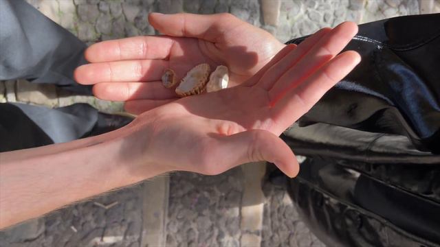 хадн дадн — порто (fan music video)