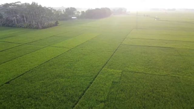 Bayer Crop Science | Meet Our President, Rodrigo Santos смотреть онлайн