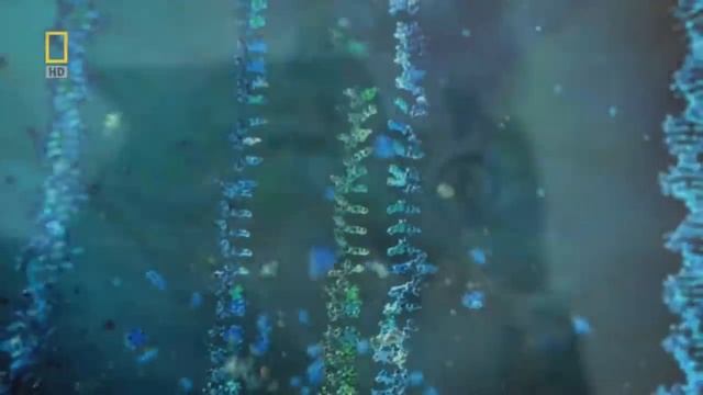 ПОЗНАЕМ ВСЕЛЕННУЮ смотреть онлайн