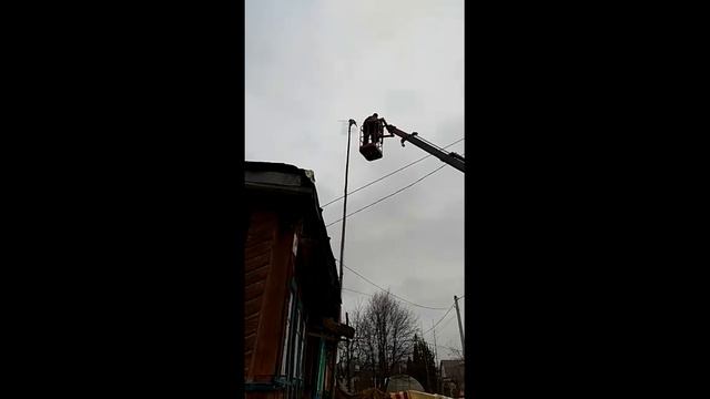 Спасение кота счастливый финал смотреть онлайн