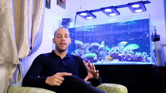 GHL KH Director | First Week смотреть онлайн