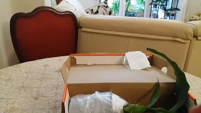 Орхидейный сюрприз с севера Греции от Марии! 😍😍😍 смотреть онлайн